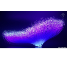 Rohde & Schwarz organise l'édition 2026 de son événement en ligne « Démystifier la CEM »